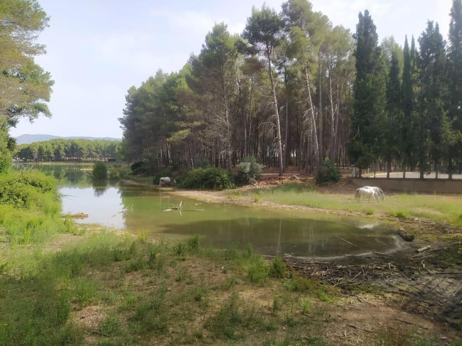 Casa Junto Al Lago Villa Jérica Екстериор снимка